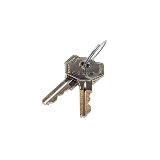 A SET OF RELEASE KEYS. FOR USE WITH LIFTMASTER® LA500 SERIES COMMERCIAL SWING GATE OPERATORS.(G9225)